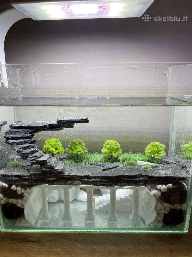 Visiškai rankų darbo. 8l akvariumas