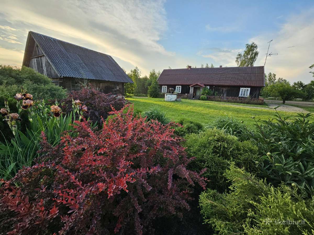 Senovinė suvalkietiška sodyba - nuotraukos Nr. 8