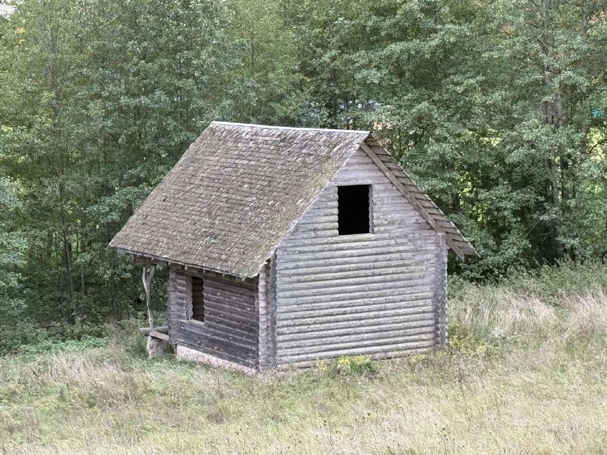 Rąstinis namelis / Pirties karkasas (išvežimui) - nuotraukos Nr. 3