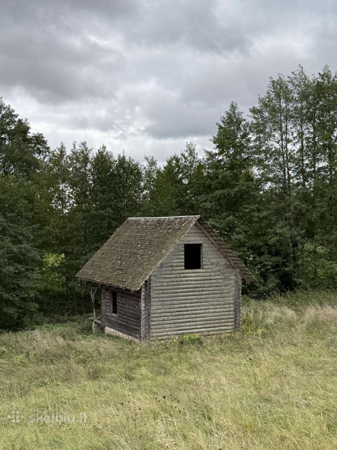 Rąstinis namelis / Pirties karkasas (išvežimui) - nuotraukos Nr. 6