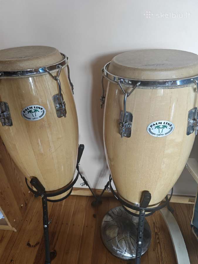 Congos kongo bugnai