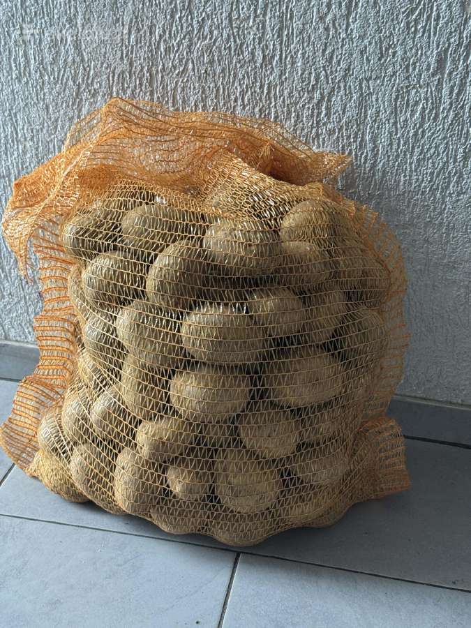 Bulvės