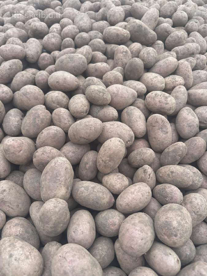 Parduodu