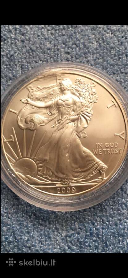 Moneta Usa 2009m. 1 dollar, sidabras