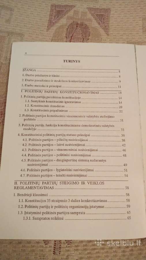 Politinių partijų institucionalizavimas - nuotraukos Nr. 3