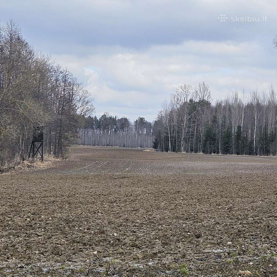 Parduodu žemės ūkio paskirties sklypą