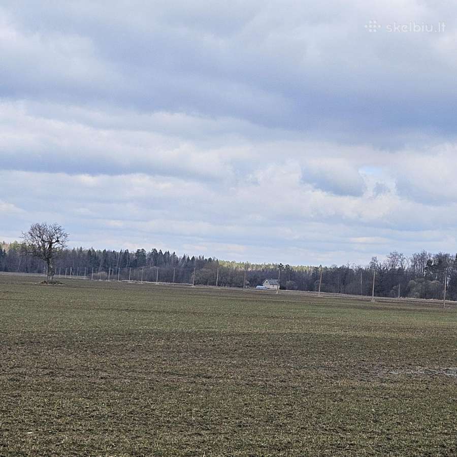 Parduodu žemės ūkio paskirties sklypą - nuotraukos Nr. 2