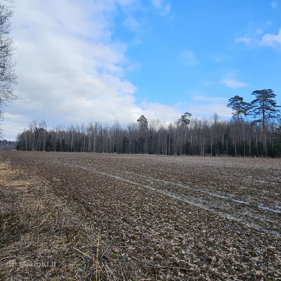 Parduodu žemės ūkio paskirties sklypą - nuotraukos Nr. 8