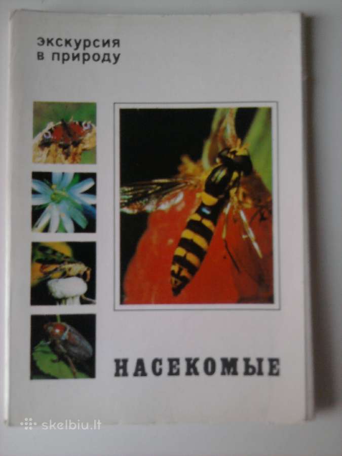 Vabzdžiai