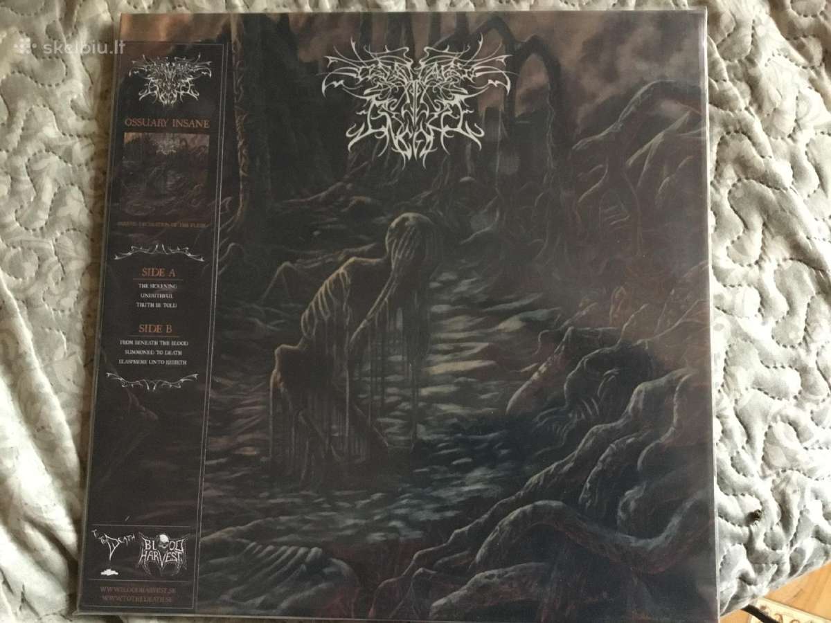 Ossuary Insane – Part III Decimation Of The Flesh