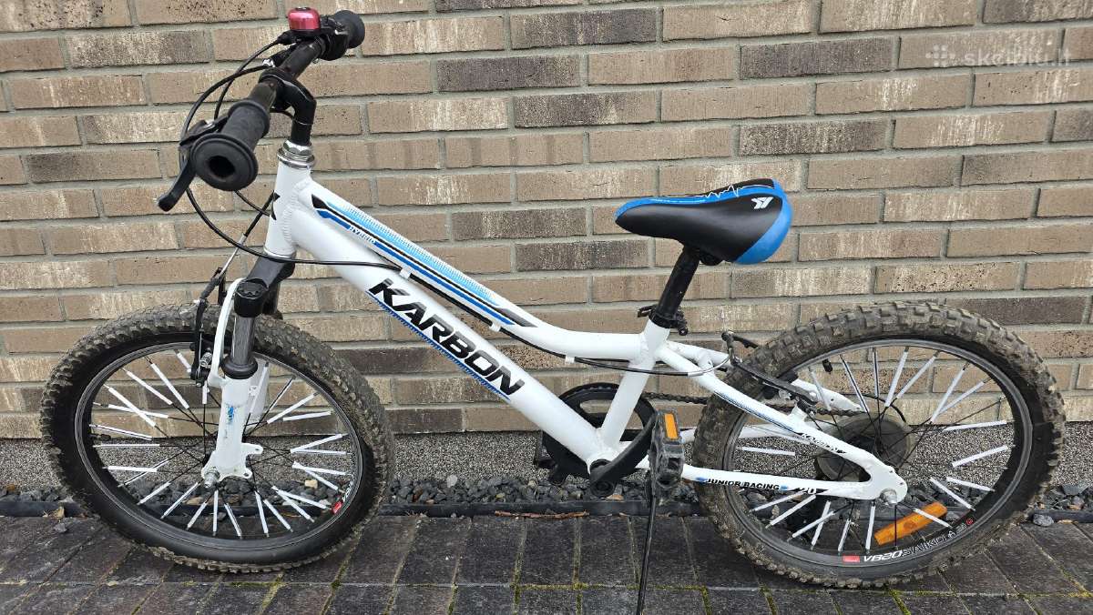 Vaikiškas dviratis