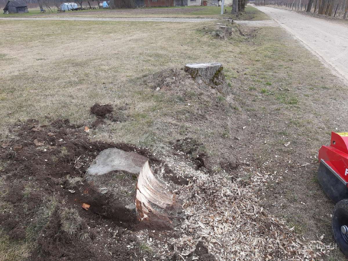 Kelmų frezavimas, naikinimas. Šakų smulkintuvas - nuotraukos Nr. 11