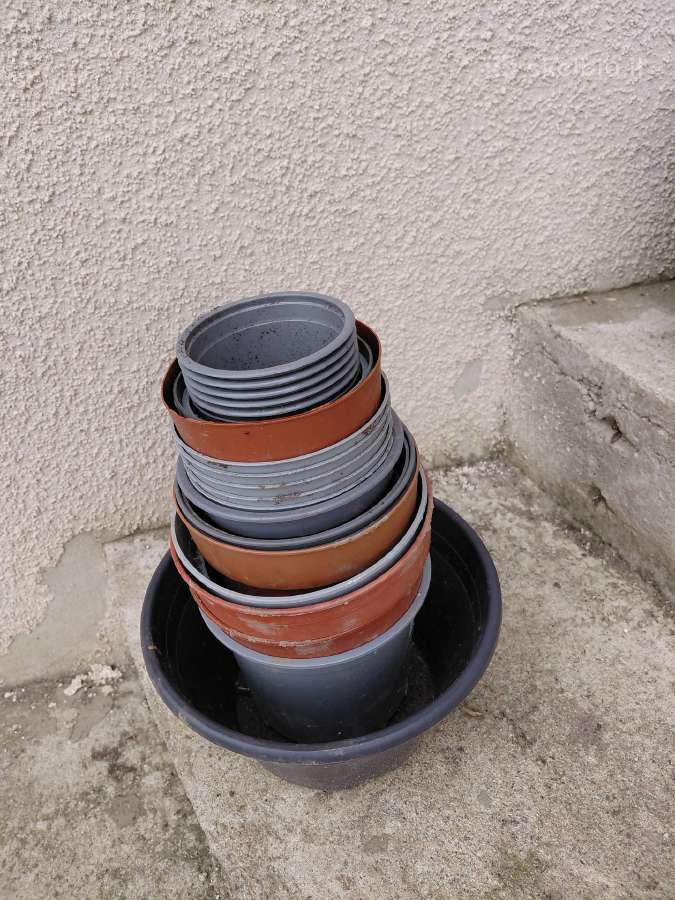 Naudoti plastikiniai vazoneliai daigams daug yra.