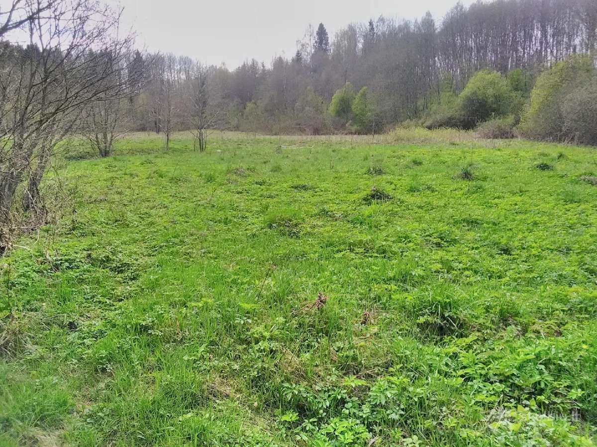 Sklypas ant Minijos kranto - nuotraukos Nr. 5
