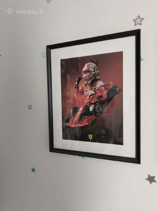 F1 formula drobes paveikslas - nuotraukos Nr. 4