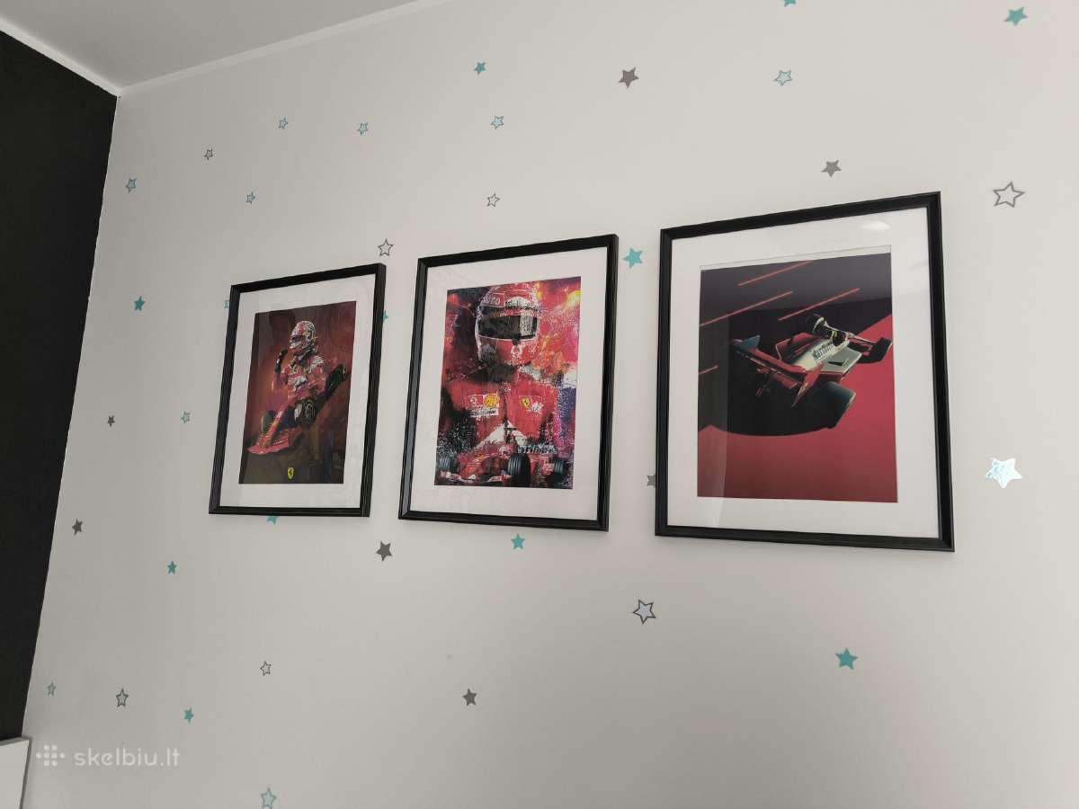 F1 formula drobes paveikslas - nuotraukos Nr. 5