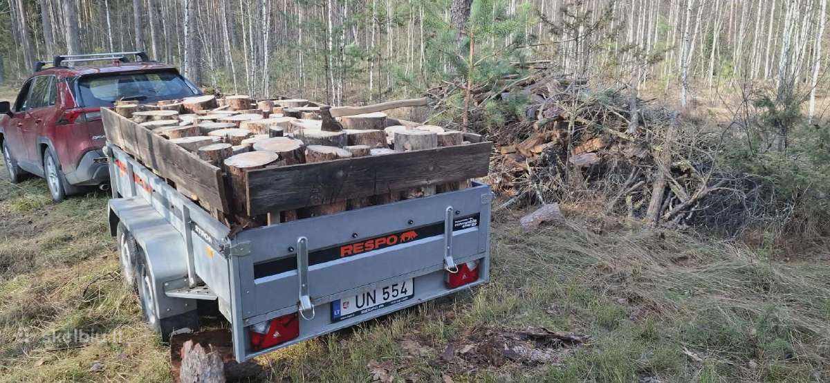 Malkos kaladėmis