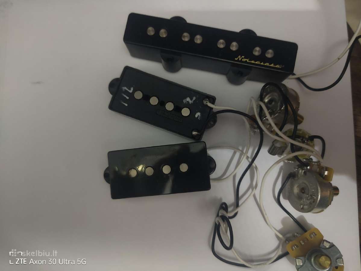 Bosines gitaros nuėmėjai - nuotraukos Nr. 4