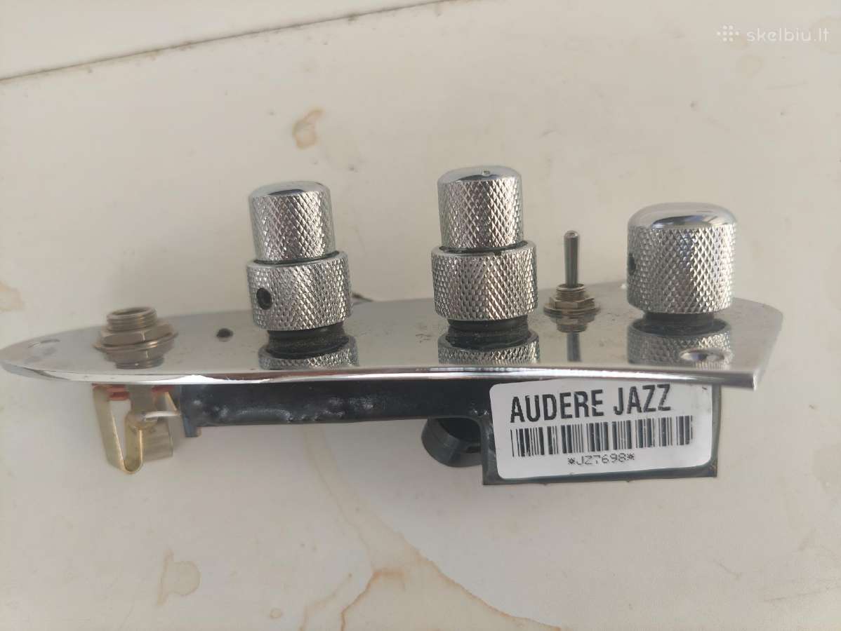 Bosines gitaros nuėmėjai - nuotraukos Nr. 5