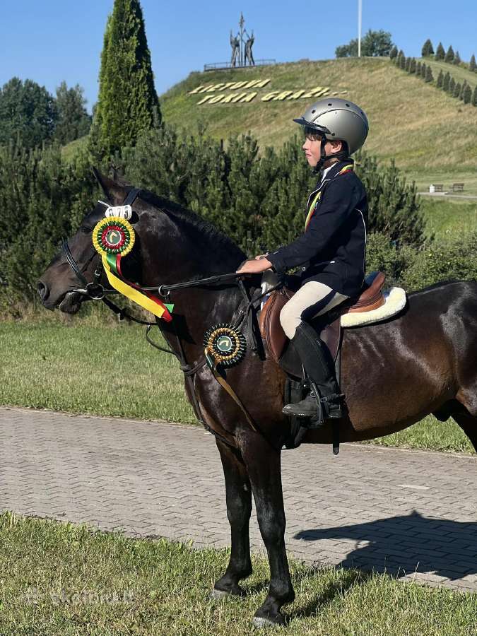 Eržilai kergimui
