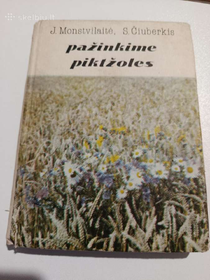 Pažinkime piktžoles