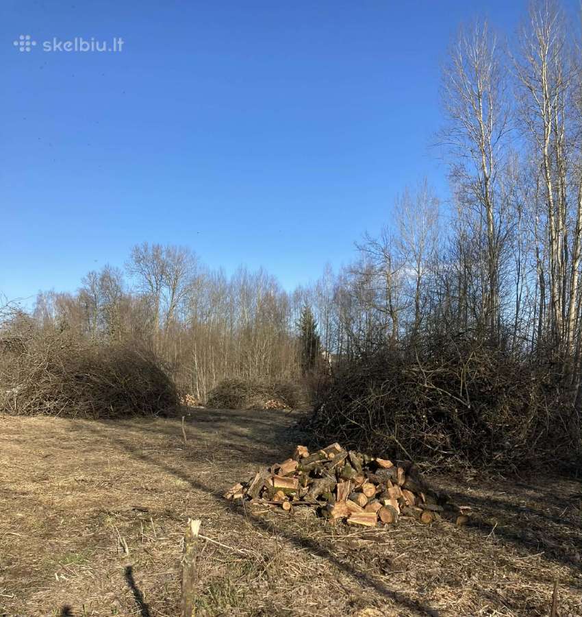 Parduodu šakas susismulkinimui, biokurui