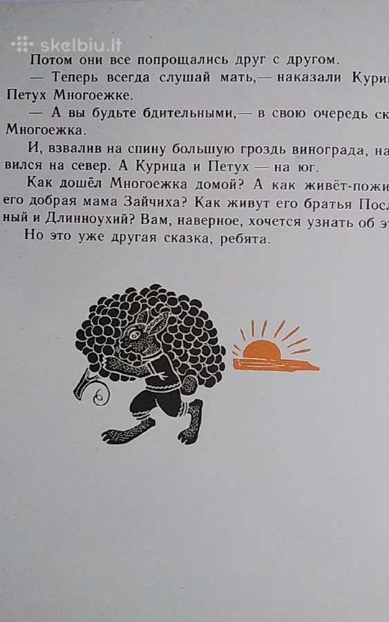 Vynuogių kekė - nuotraukos Nr. 5