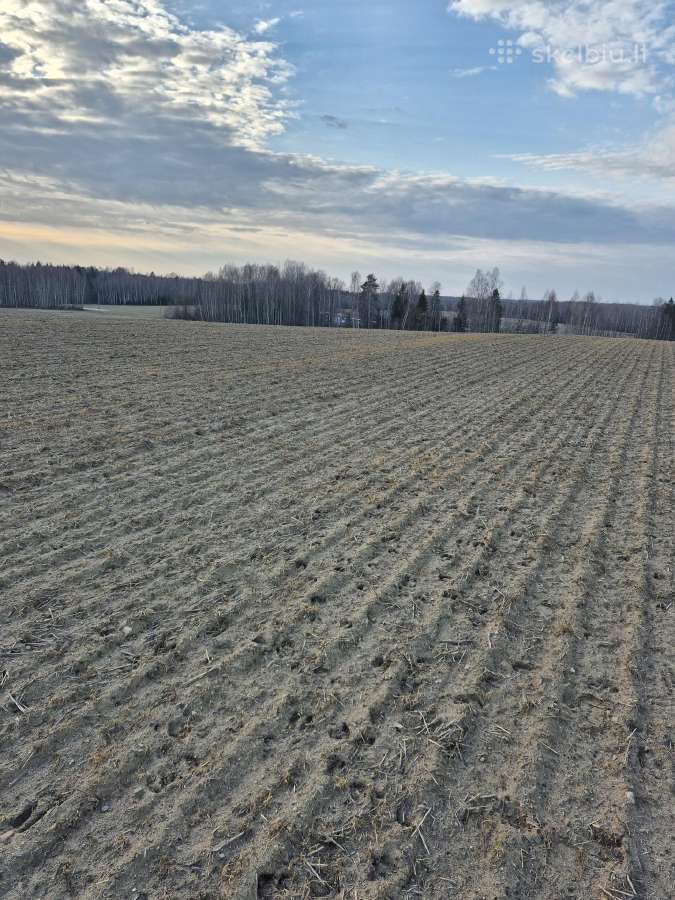 Žemės sklypas Žalakiškių k. - nuotraukos Nr. 2