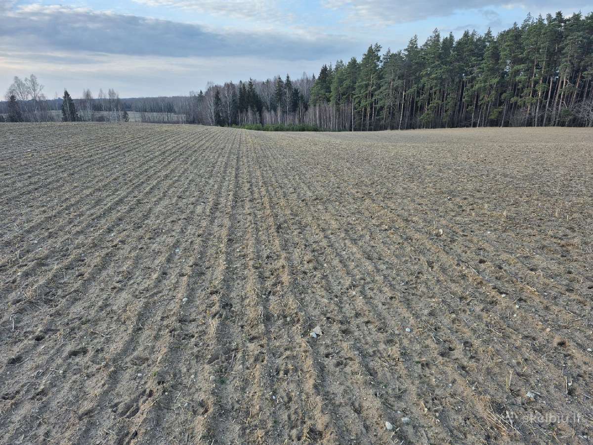 Žemės sklypas Žalakiškių k. - nuotraukos Nr. 5