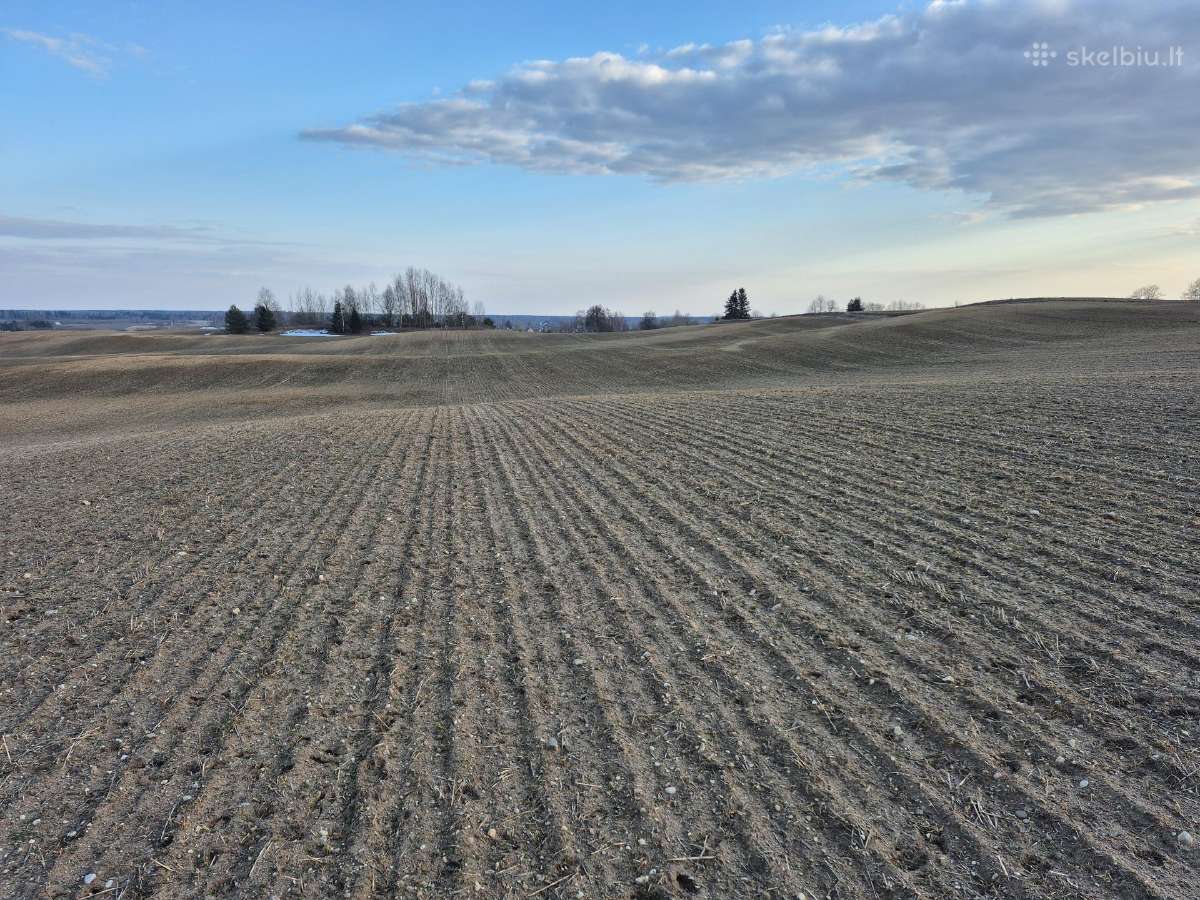 Žemės sklypas Žalakiškių k. - nuotraukos Nr. 9