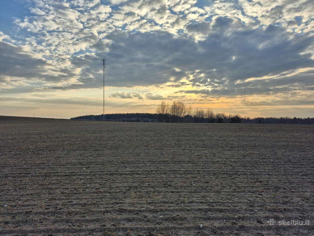 Žemės sklypas Žalakiškių k. - nuotraukos Nr. 10