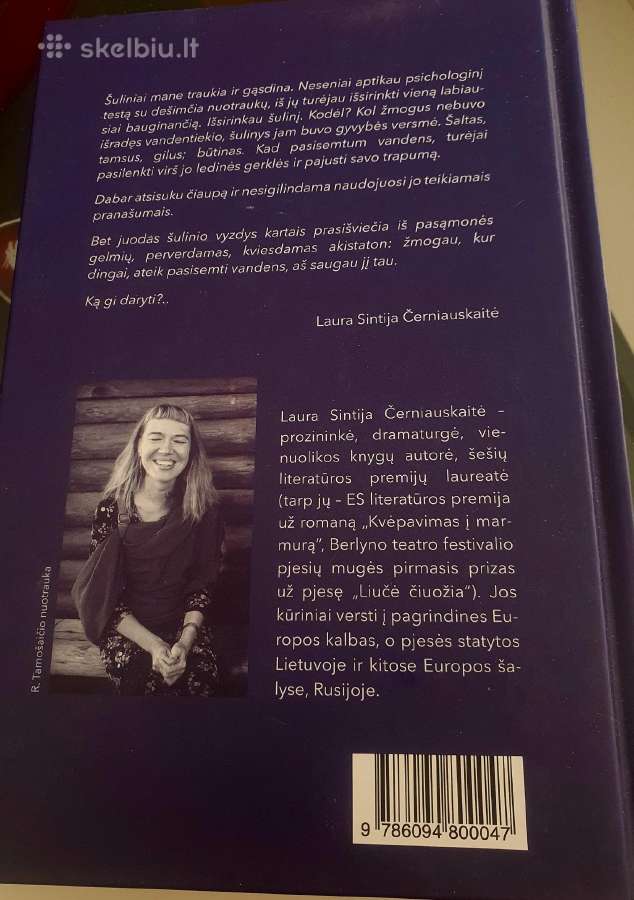 Šulinys (knyga) Laura Sintija Černiauskaitė - nuotraukos Nr. 2