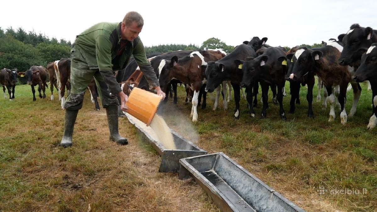 Reikalingas šėrikas-traktoristas - nuotraukos Nr. 3