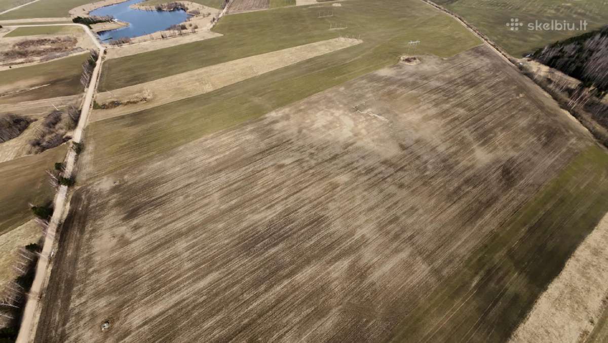 Žemės ūkio paskirties sklypai - 1.57ha ir 1.88ha - nuotraukos Nr. 4