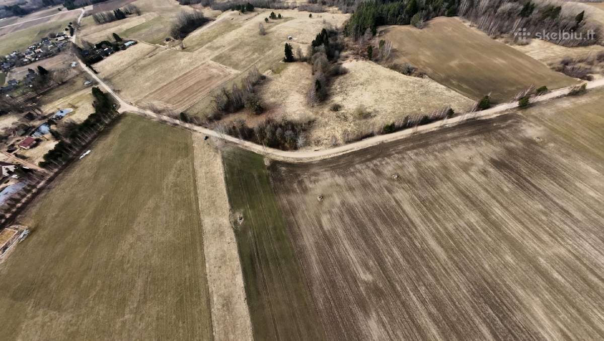 Žemės ūkio paskirties sklypai - 1.57ha ir 1.88ha - nuotraukos Nr. 5