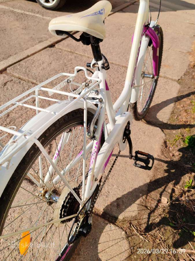 Dviratis Sprint 24'' - nuotraukos Nr. 3