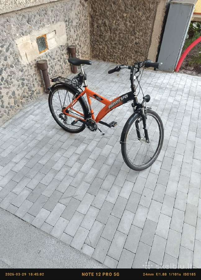 Dviratis 26 colių