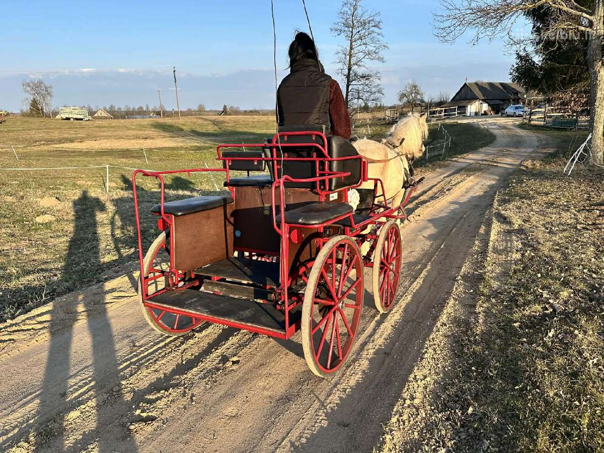 Daniška karieta poni klasės žirgams (iki150cm