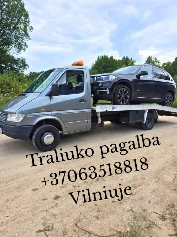 Tralo,traliuko,tralas,traliukas paslaugos Vilnius - nuotraukos Nr. 2
