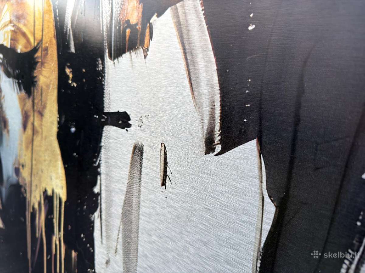 Aliuminio Paveikslas 170x85 cm - nuotraukos Nr. 5