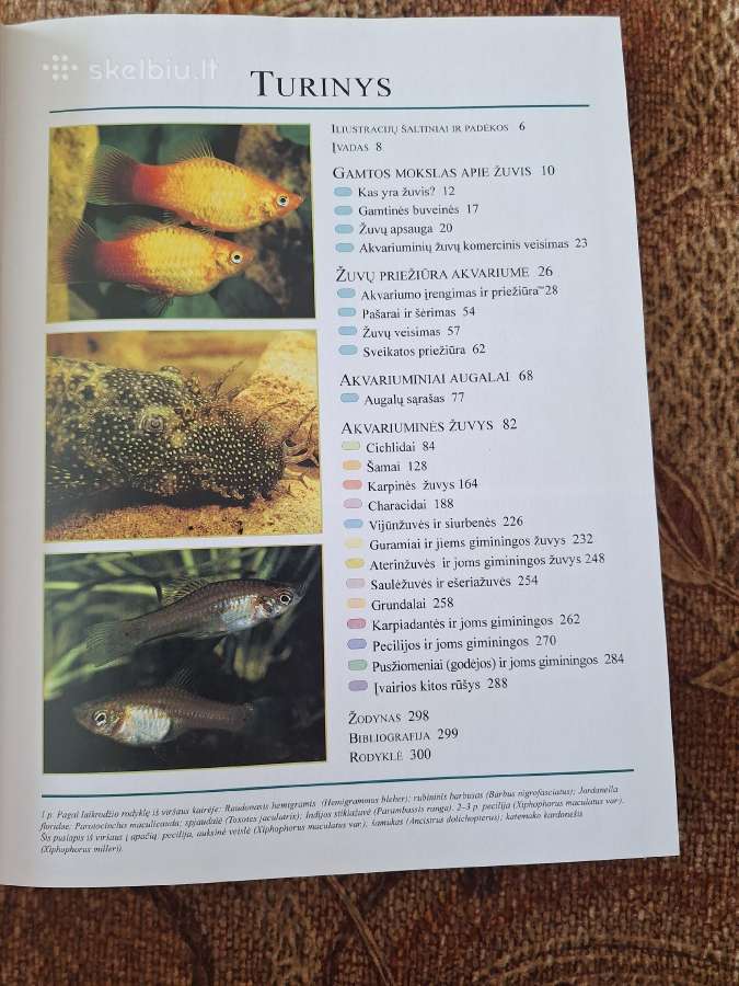 Didžioji akvariumų enciklopedija - nuotraukos Nr. 2