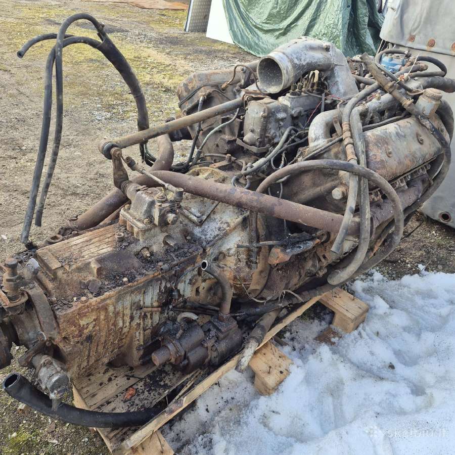Maz V6 Pilnas