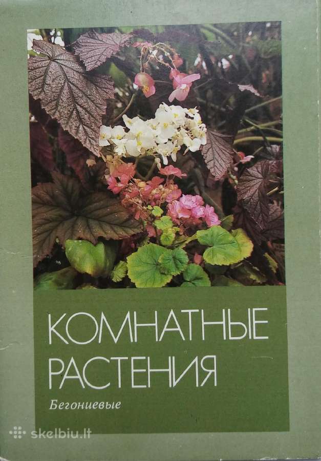 Atvirukų rinkiniai - nuotraukos Nr. 3