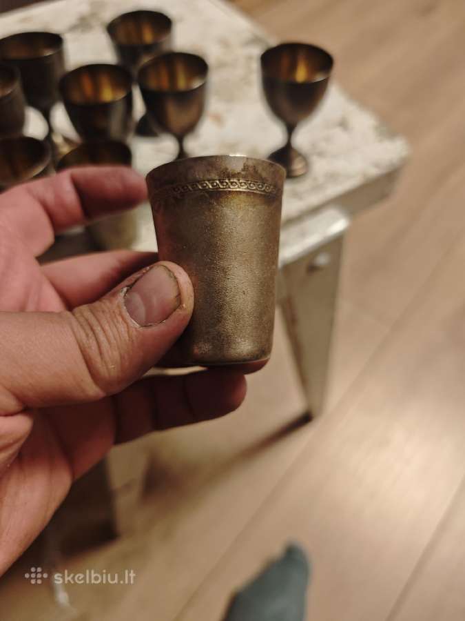 Sidabruotos taures - nuotraukos Nr. 7