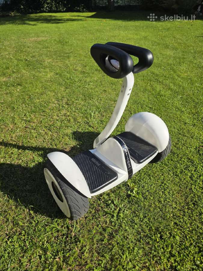 Riedis Ninebot-s