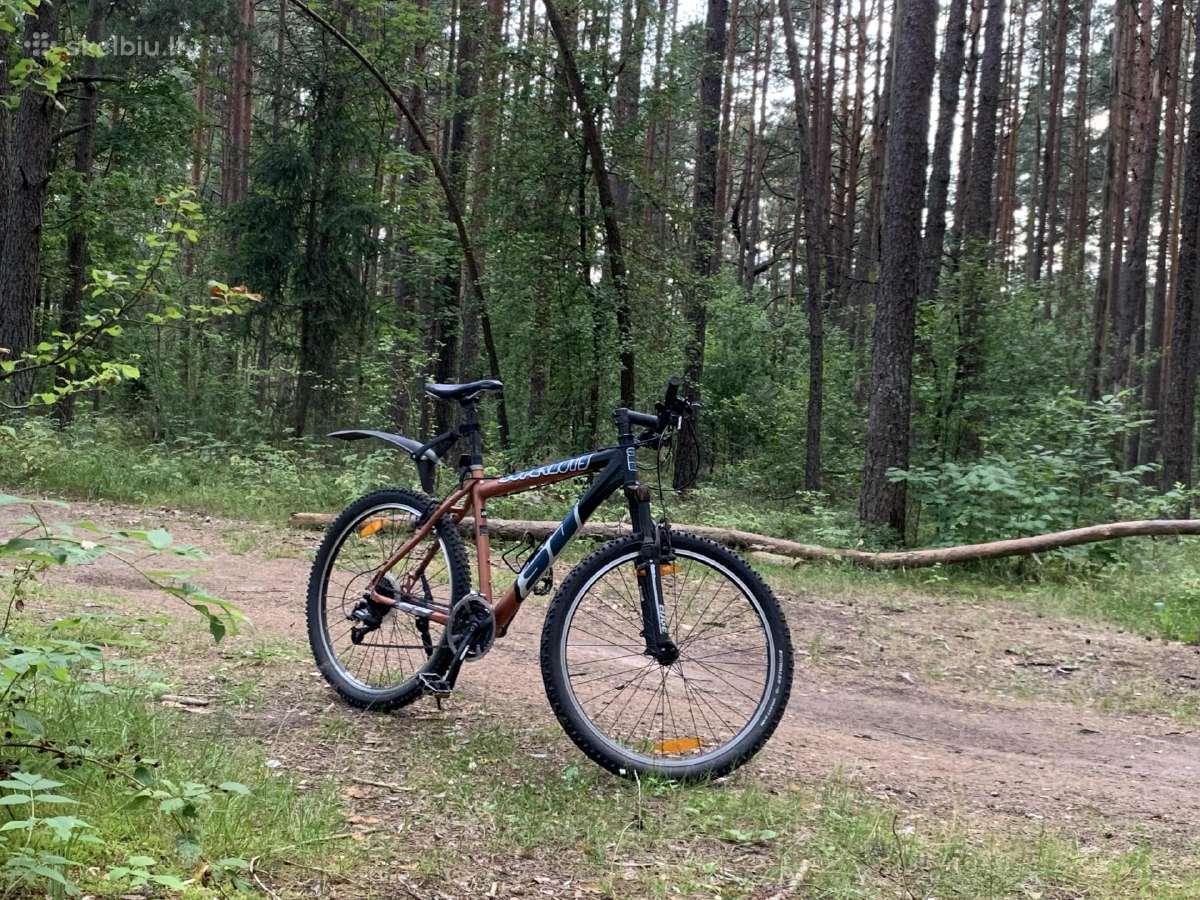 Kalnų dviratis Arrow Superlite (48 cm / M-l)