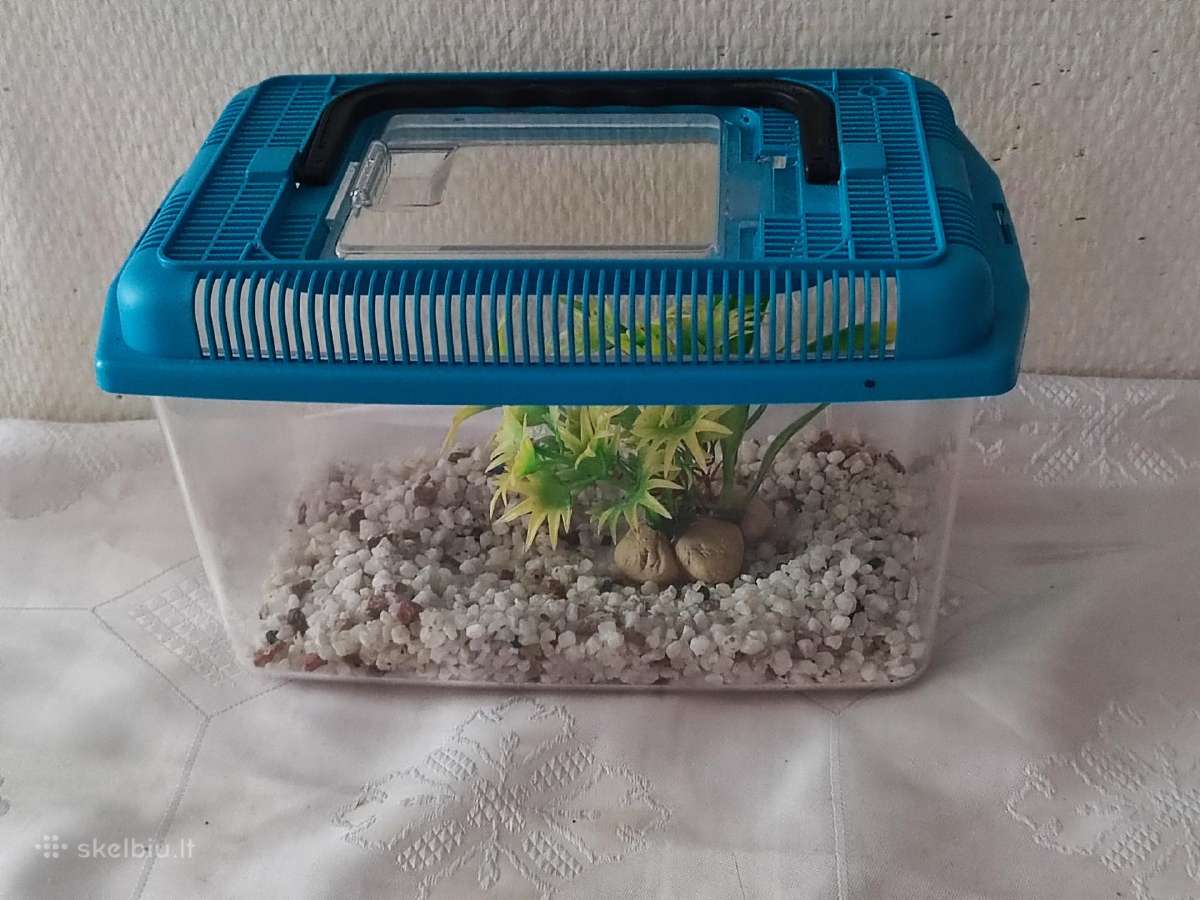 Akvariumas su dangčiu