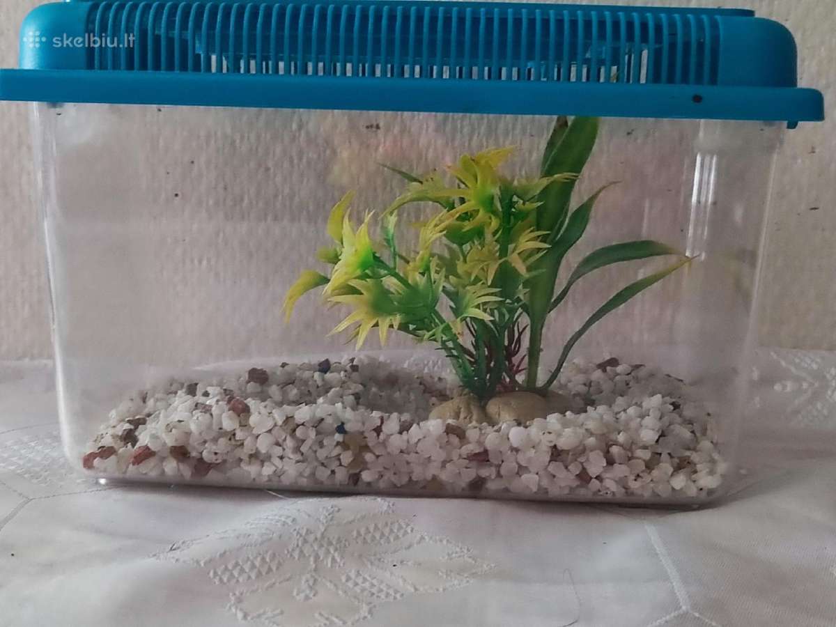 Akvariumas su dangčiu - nuotraukos Nr. 3