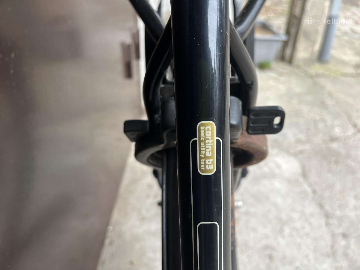 Vintage moteriskas dviratis - nuotraukos Nr. 5
