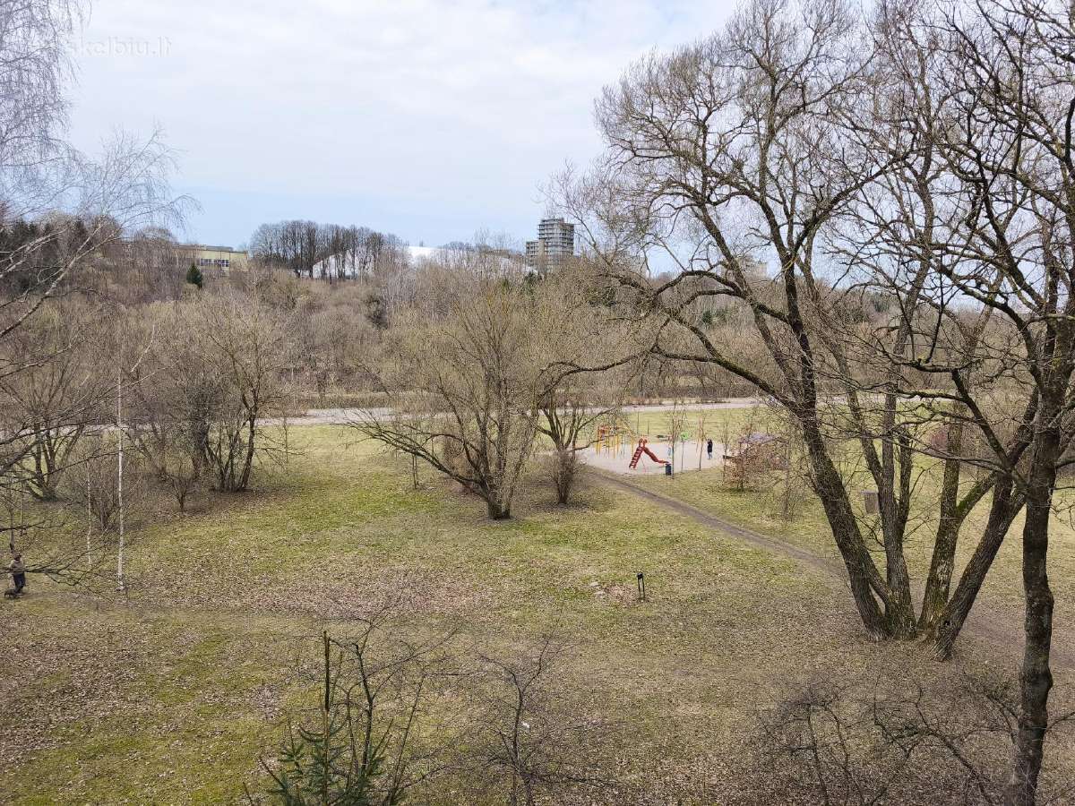 2-jų kambarių nuoma Vileišio g. - nuotraukos Nr. 16
